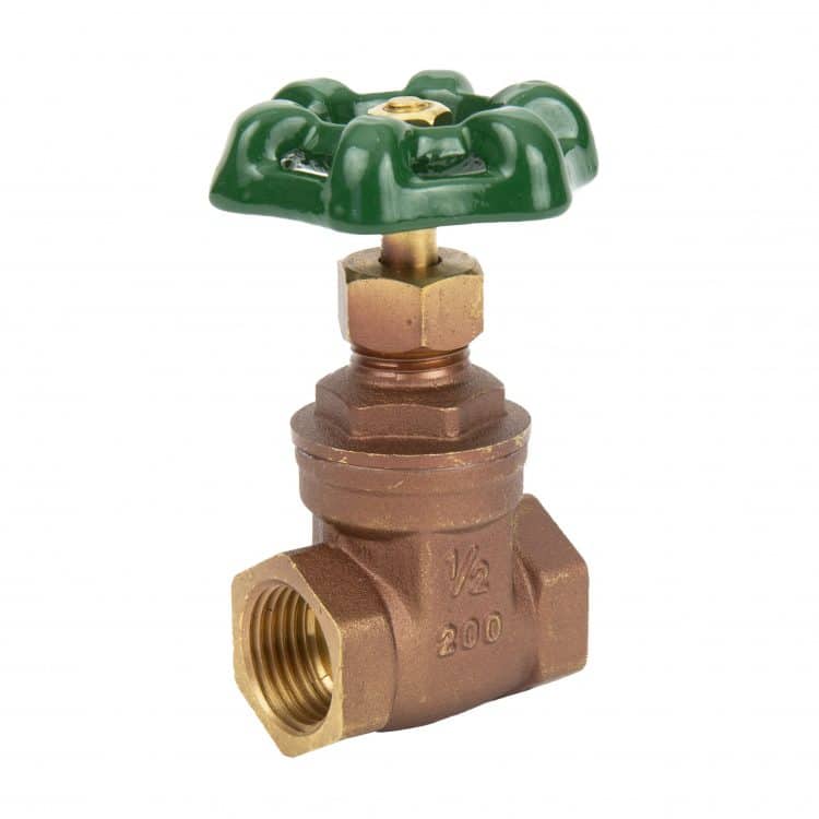 Foot Valve 2 inch
